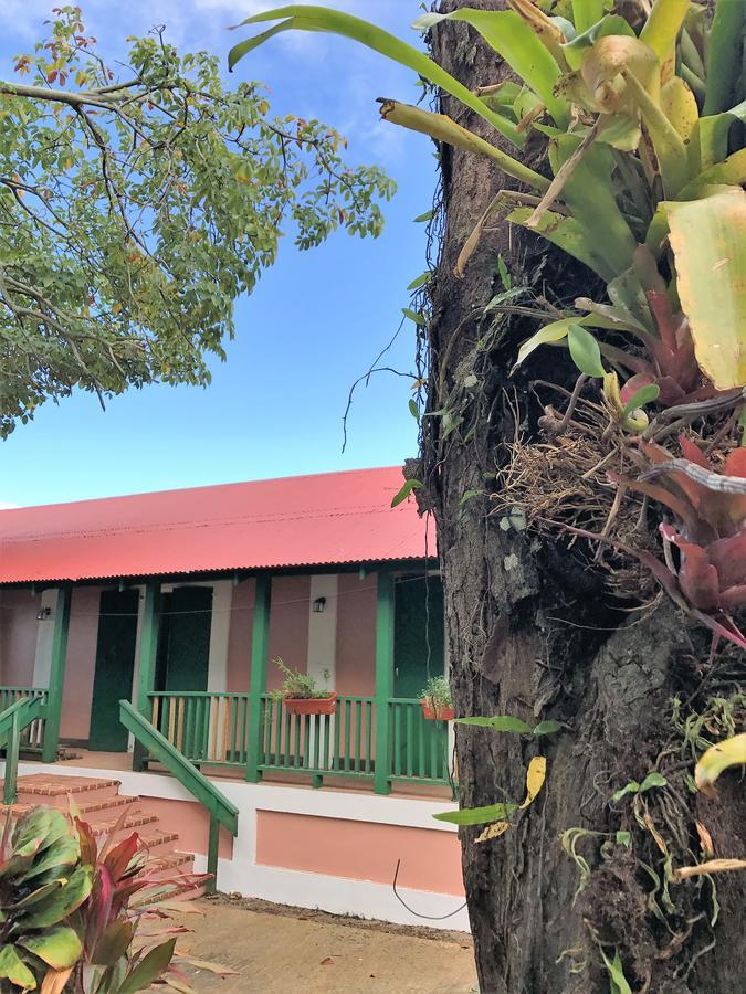 Hacienda Juanita Hotel Maricao Exterior photo